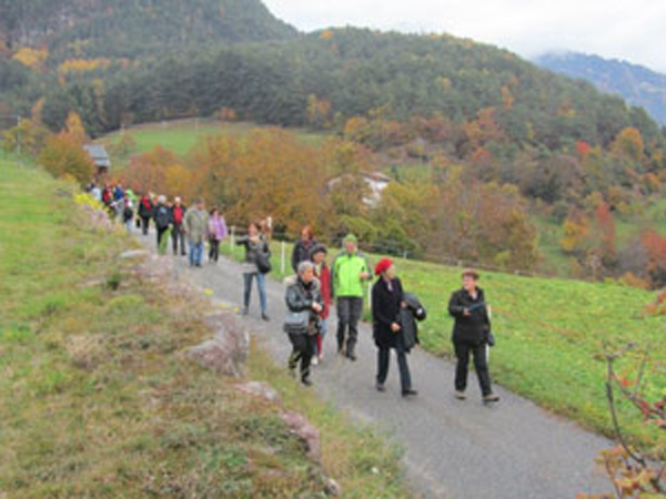 Törggelen 05.11.2011