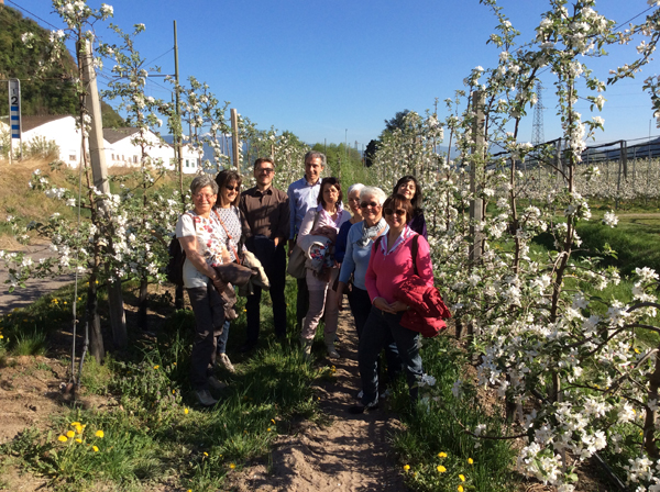 Erlebnistreffen im Spargelfeld, Terlan 15.04.2015